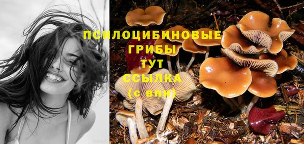 тгк Новозыбков
