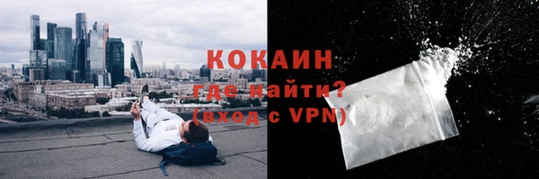 МДПВ Нея