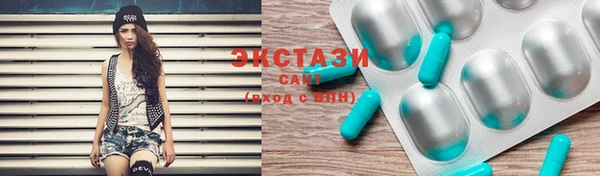 тгк Новозыбков