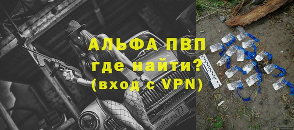 МДПВ Нея