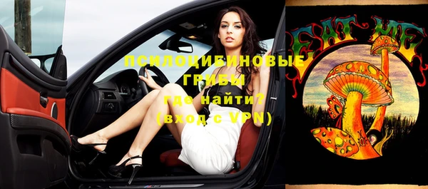 МДПВ Нея