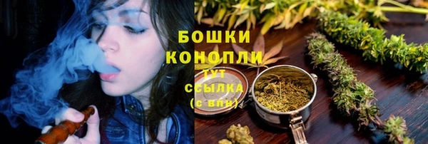 МДПВ Нея