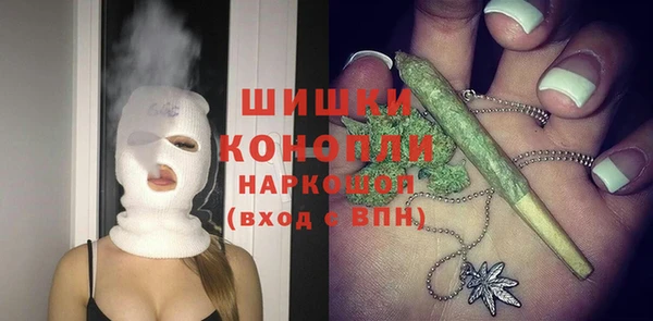 МДПВ Нея