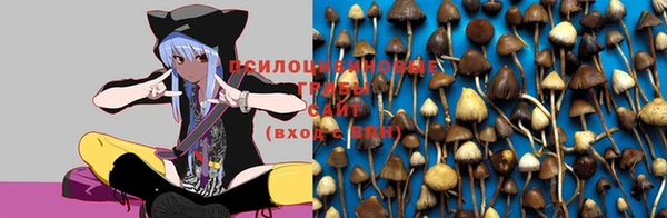 MDMA Нефтегорск