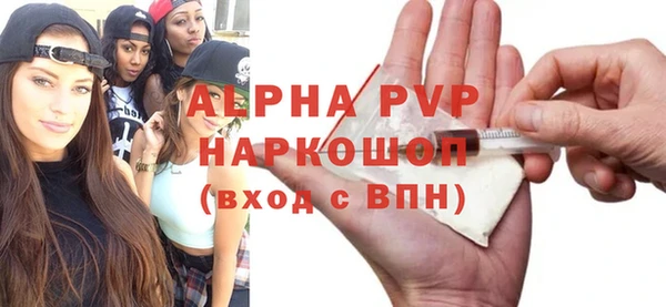 тгк Новозыбков