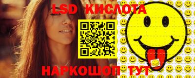 mdpv Гатчина
