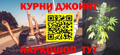 mdpv Гатчина