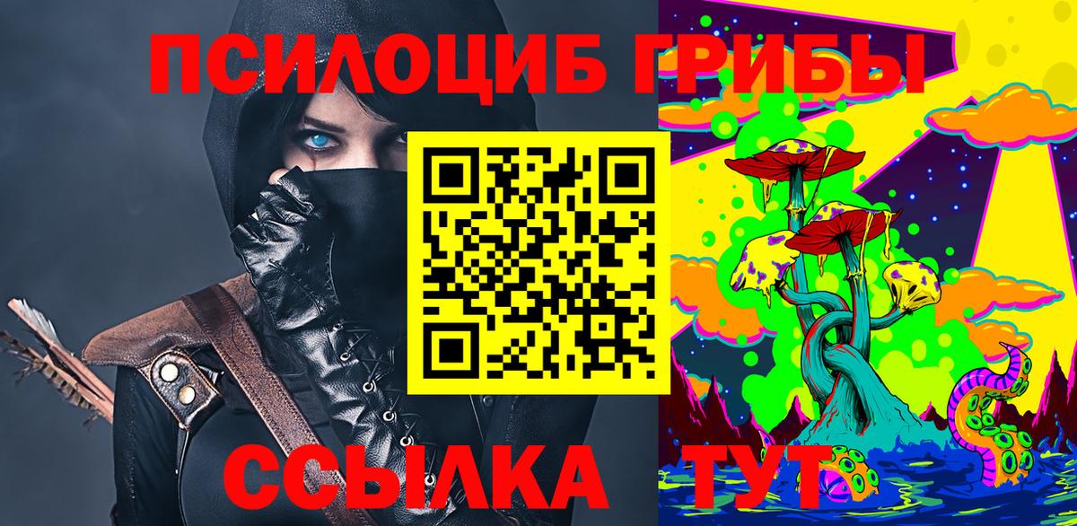 Зима  Псилоцибиновые грибы мицелий  Вход с VPN 