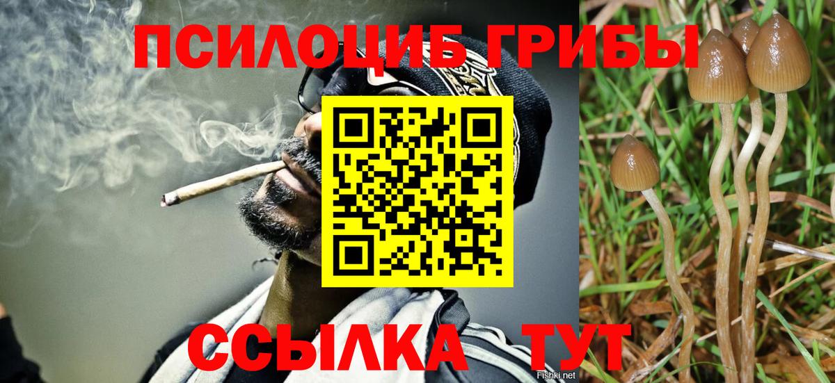 Галлюциногенные грибы мицелий Зима