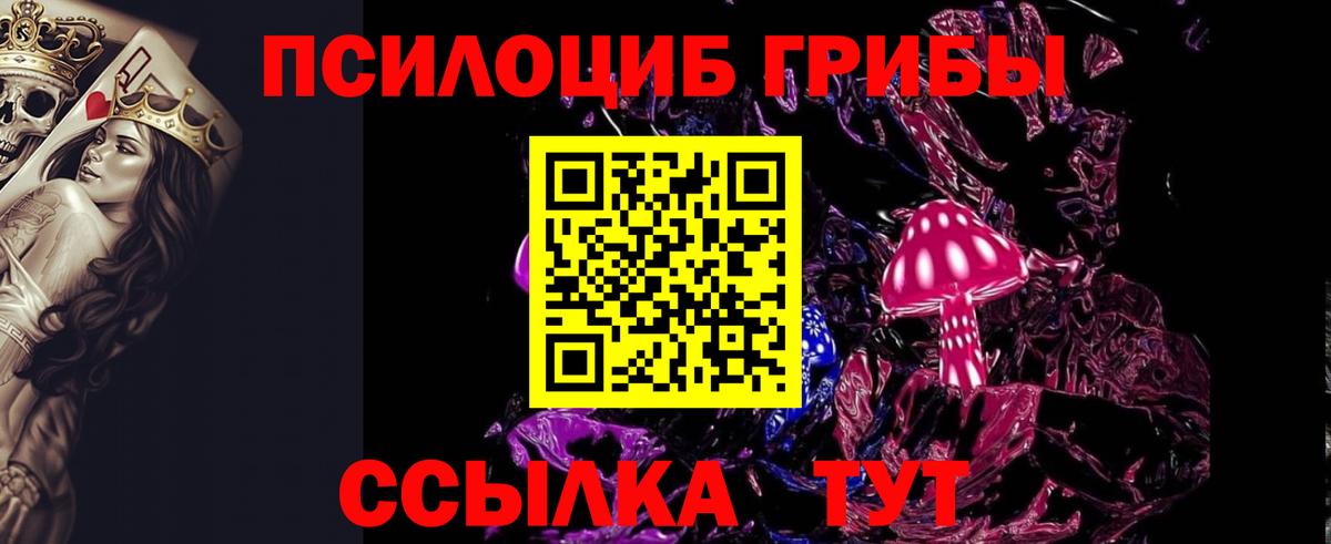 Псилоцибиновые грибы мицелий Зима