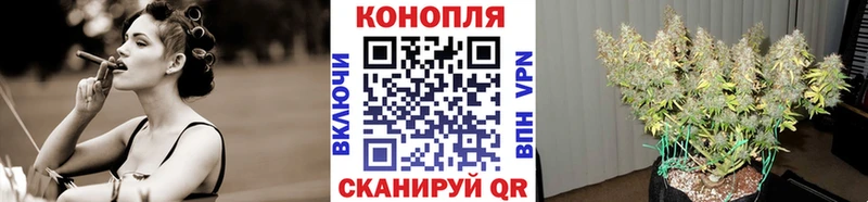 Бошки марихуана THC 21%  закладка  Зима 