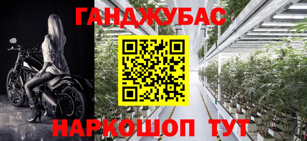 Канабис гибрид Зима